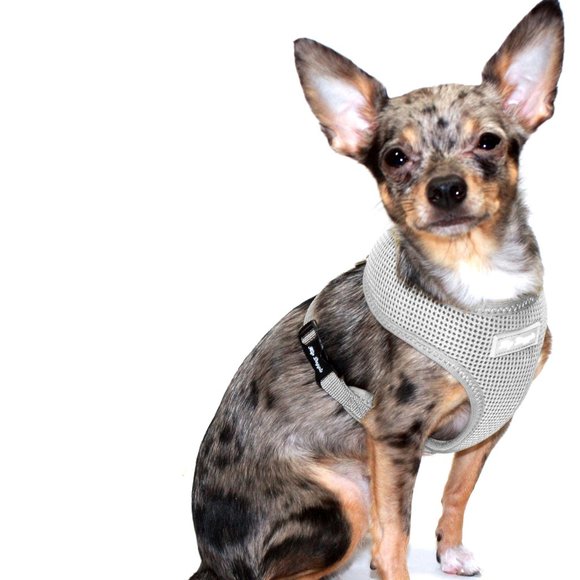 Ultra Comfort Harness Vest - Gray - Picture 5 of 6